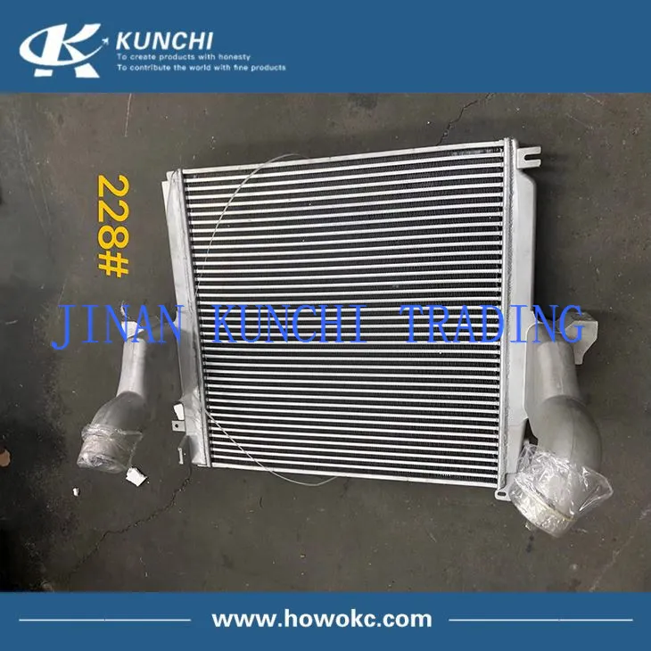 FOTON AUMAN H4119302003A0 Intercooler